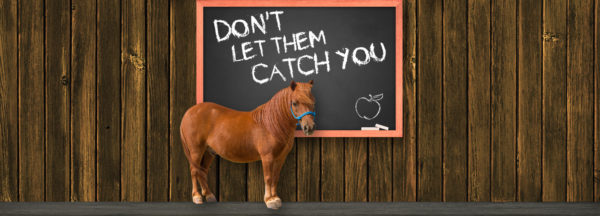 Phoenix_header_catch