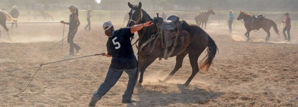 Nov-NWC-Preview_Colt-Starting-Clinic-Diary-Day3