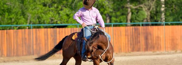 Add-Vertical-to-Your-Bending