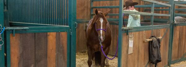 Problem-Solving_Rushing-Into-and-Out-of-Stalls