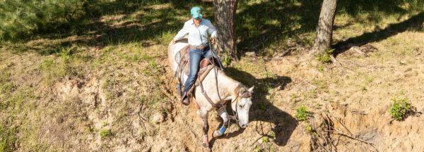 Student-Lesson_Hill-Work